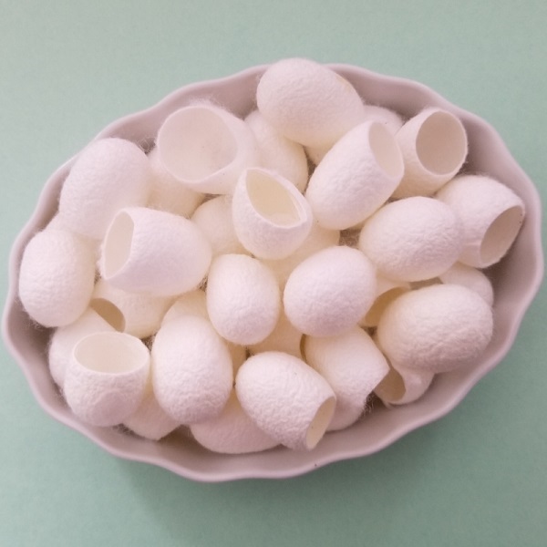 Silk Cocoon for facial treatment